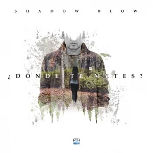 Disco Dónde Te Metes de Shadow Blow
