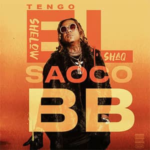 Disco Tengo El Saoco BB de Shelow Shaq