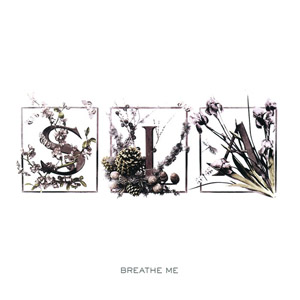 Disco Breathe Me de Sia