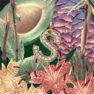Disco S de Sza