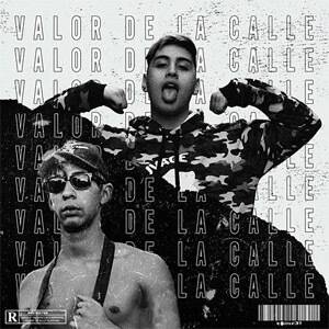 Disco Valor de la Calle de Tiago PZK