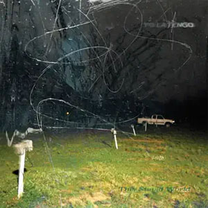 Disco This Stupid World de Yo La Tengo