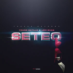Disco Seteo de Young Gatillo